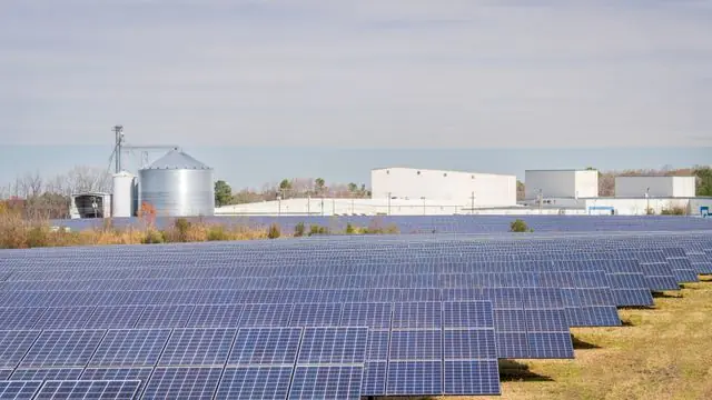 Business Solar Panel Installation at an Agricultural Facility